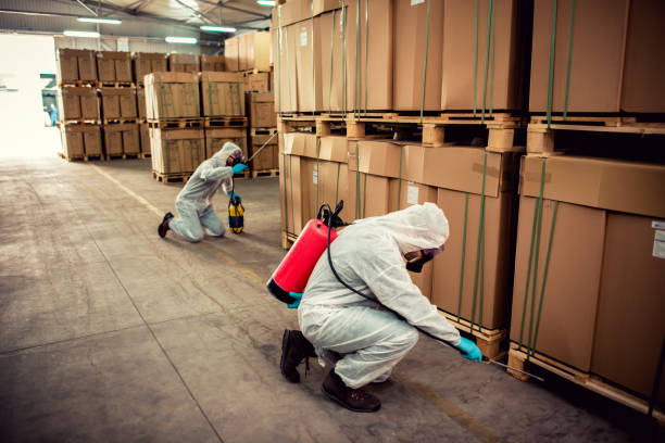Best Mosquito Control Services  in Princeton, FL