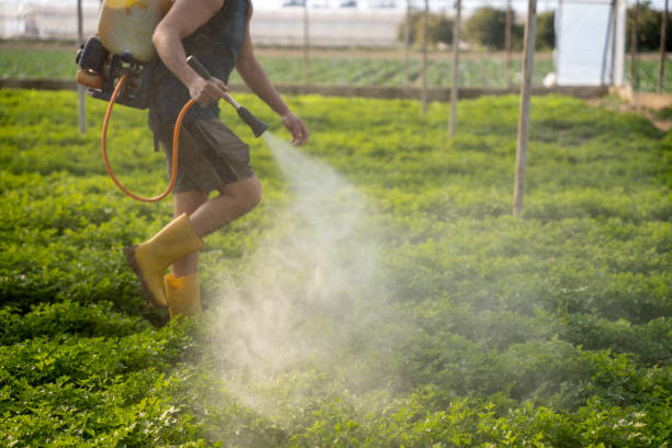 Best Pest Control Near Me  in Princeton, FL