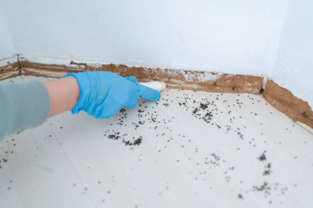 Best Pest Control for Restaurants  in Princeton, FL