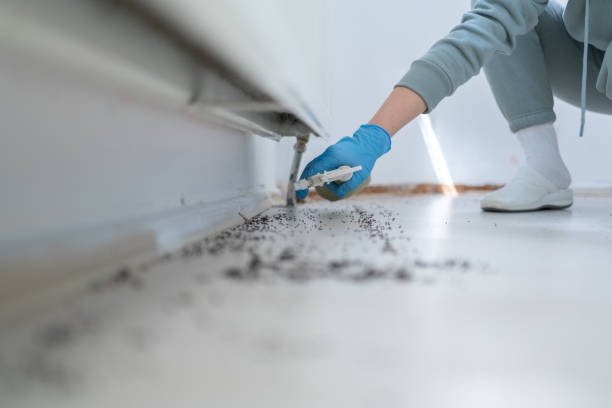 Best Affordable Pest Control Services  in Princeton, FL