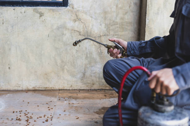 Best Pest Inspection Near Me  in Princeton, FL